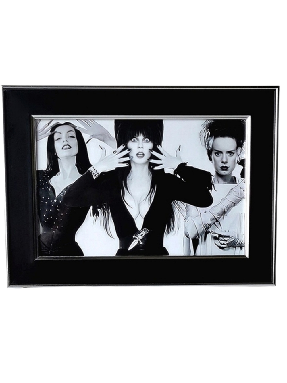 Bride of Frankenstein Vampira Elvira horror Queens monster universal